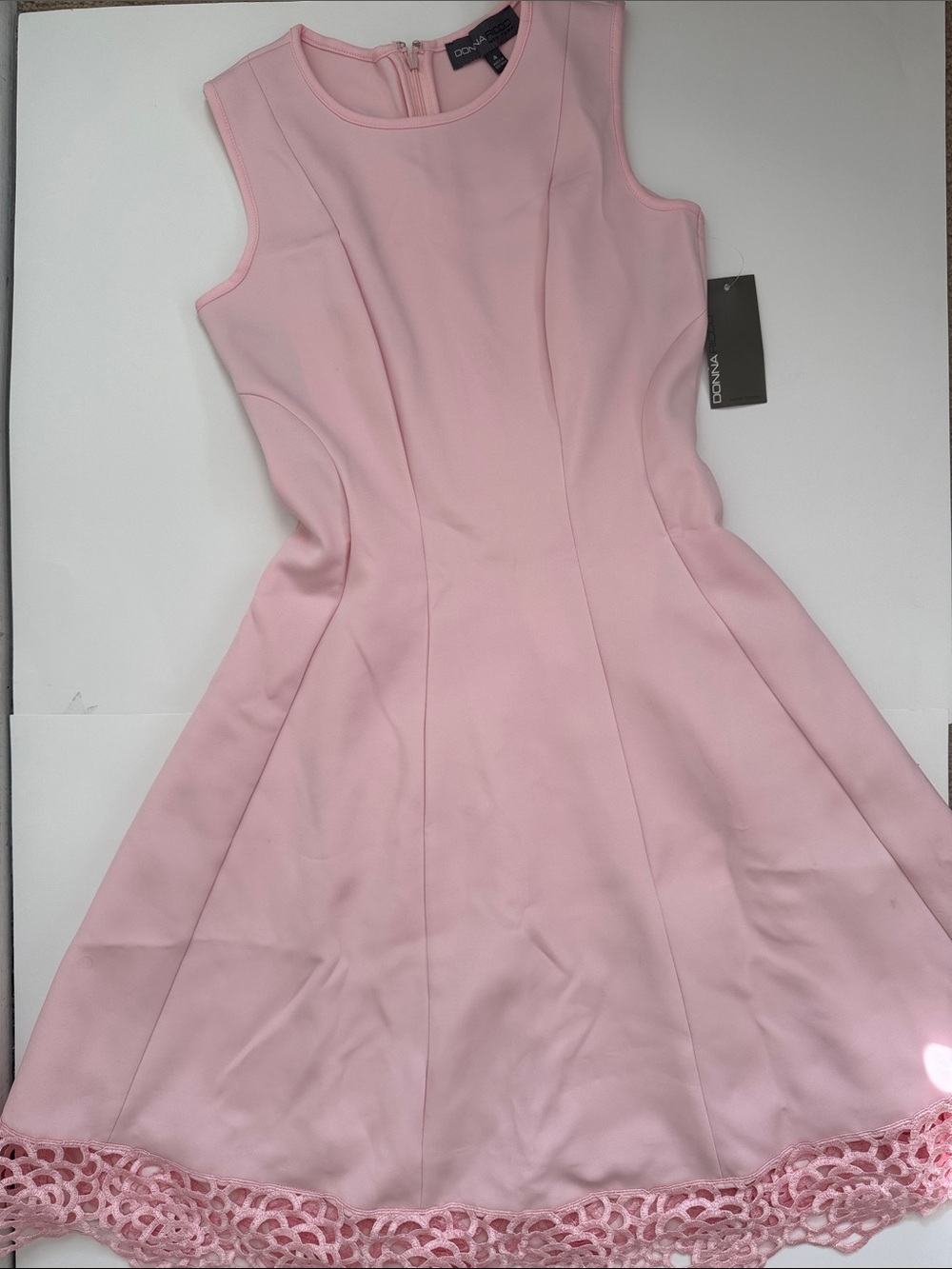 Donna Ricco Soft Pink Sleeveless Fit-and-Flare Dress with Lace Hem